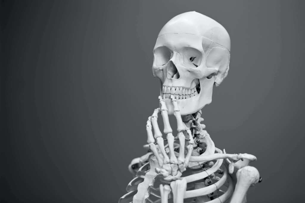 skeleton wondering